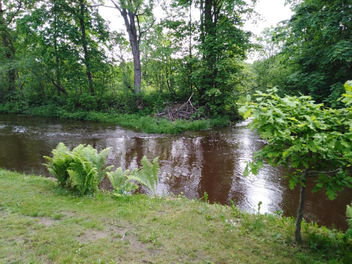 Lodge Creek Mustvee