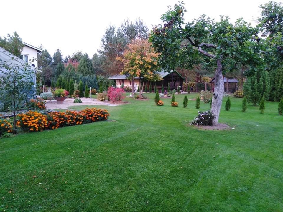 Creek Lodge Mustvee