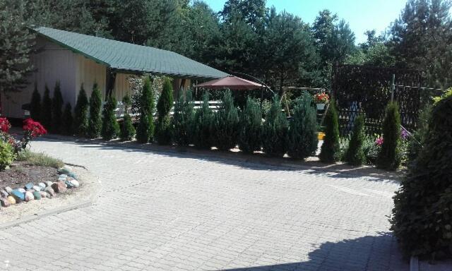 Lodge Creek Mustvee
